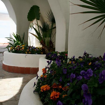 Casa Vacanze Elianto 안치오 외부 사진