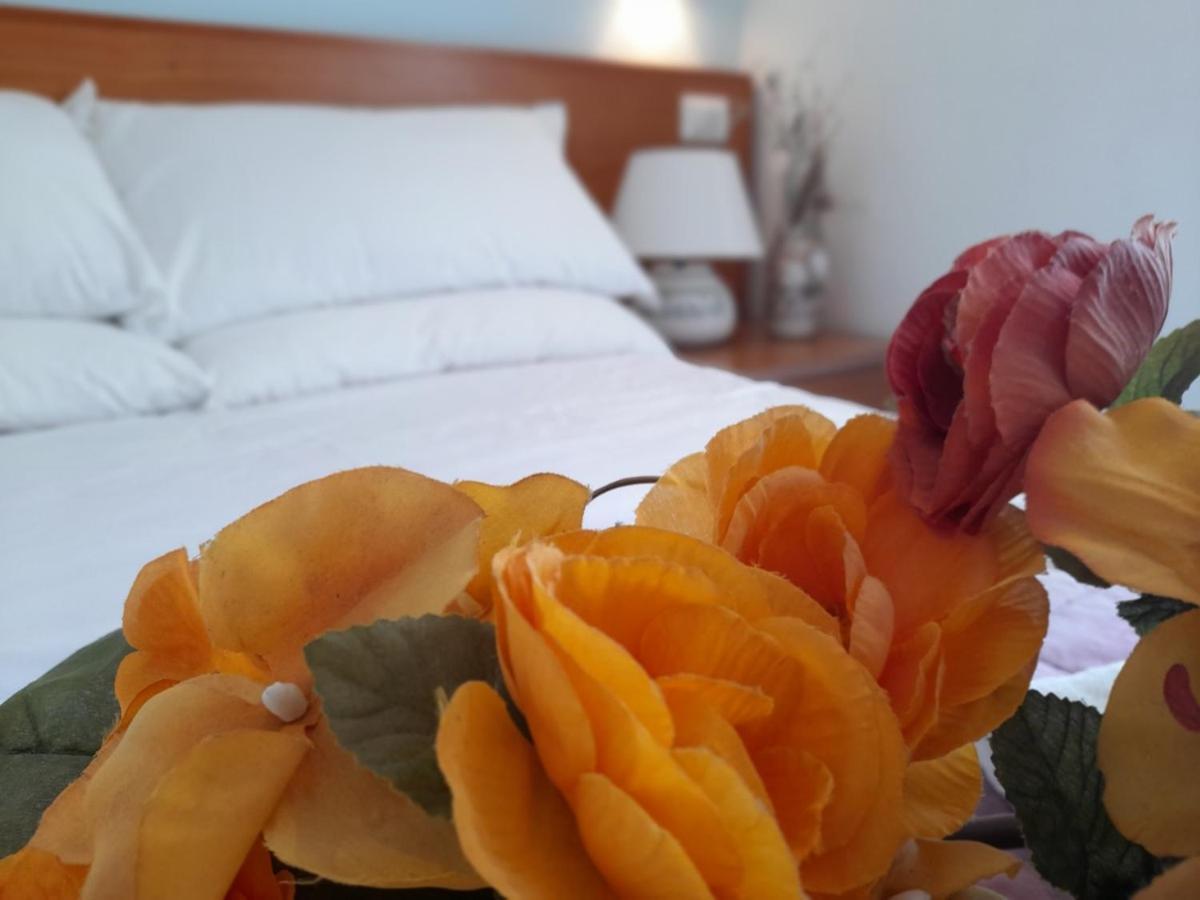 Casa Vacanze Elianto 안치오 외부 사진