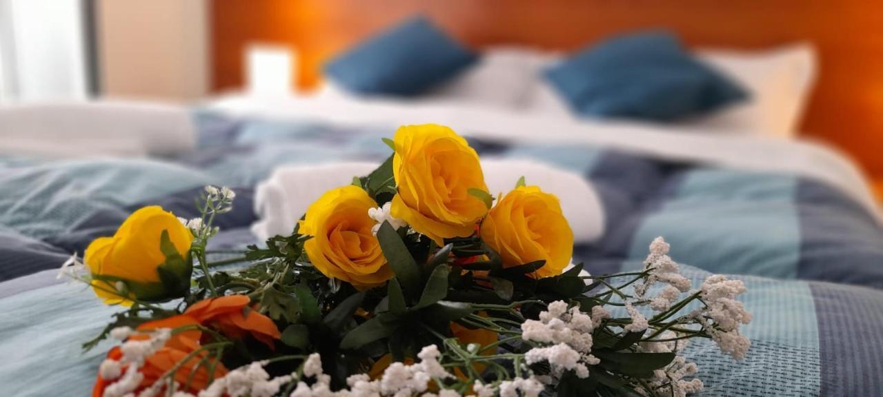 Casa Vacanze Elianto 안치오 외부 사진